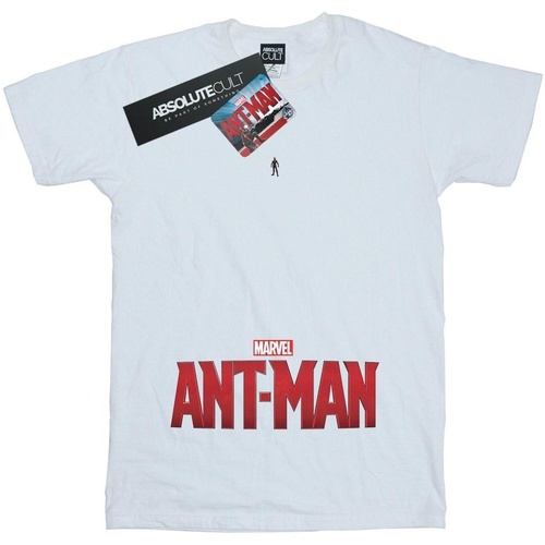 Abbigliamento Bambina T-shirts a maniche lunghe Marvel Ant-Man Ant Sized Logo Bianco
