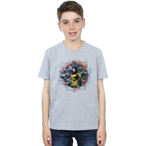 Abbigliamento Bambino T-shirt maniche corte Dc Comics Aquaman Circular Crest Grigio