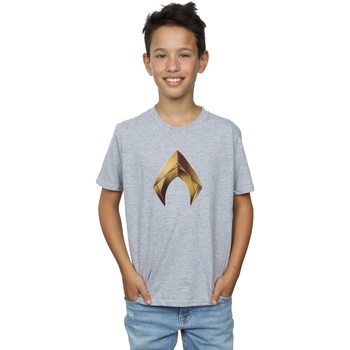 Abbigliamento Bambino T-shirt maniche corte Dc Comics Aquaman Emblem Grigio