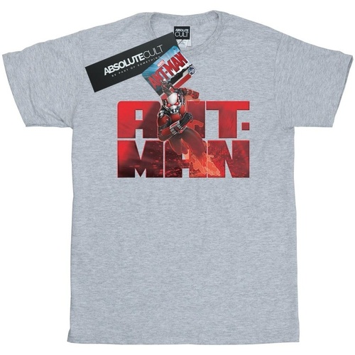 Abbigliamento Bambina T-shirts a maniche lunghe Marvel Ant-Man Running Grigio