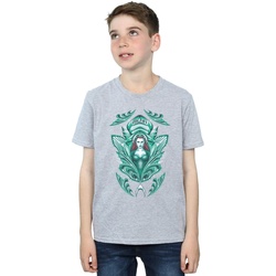 Abbigliamento Bambino T-shirt maniche corte Dc Comics Aquaman Mera Crest Grigio