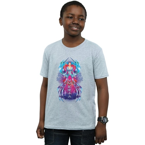 Abbigliamento Bambino T-shirt maniche corte Dc Comics Aquaman Mera Dress Grigio