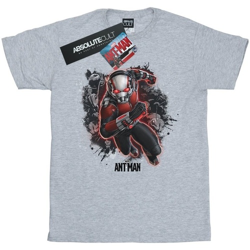 Abbigliamento Bambina T-shirts a maniche lunghe Marvel Ant-Man Ants Running Grigio