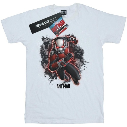 Abbigliamento Bambina T-shirts a maniche lunghe Marvel Ant-Man Ants Running Bianco