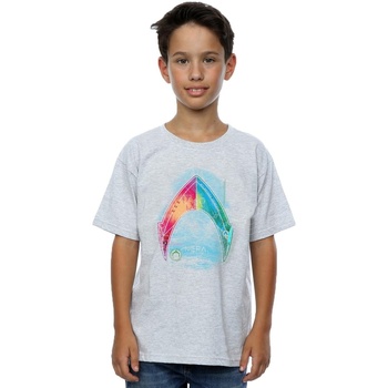 Abbigliamento Bambino T-shirt maniche corte Dc Comics Aquaman Mera Logo Grigio