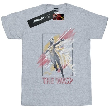 Abbigliamento Bambina T-shirts a maniche lunghe Marvel Ant-Man And The Wasp Framed Wasp Grigio