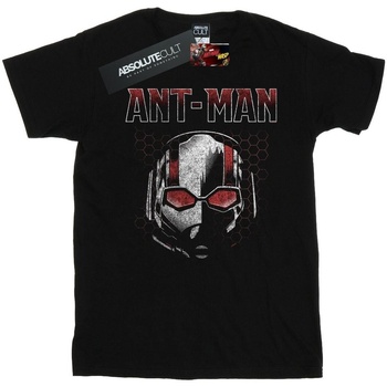Abbigliamento Bambina T-shirts a maniche lunghe Marvel Ant-Man And The Wasp Scott Mask Hexagon Nero