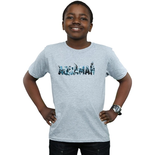 Abbigliamento Bambino T-shirt maniche corte Dc Comics Aquaman Text Logo Grigio