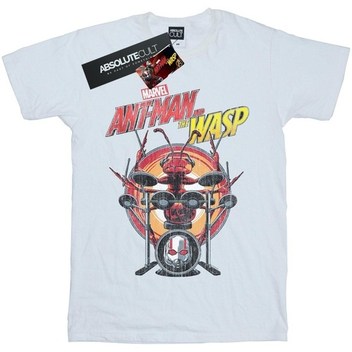 Abbigliamento Bambina T-shirts a maniche lunghe Marvel Ant-Man And The Wasp Drummer Ant Bianco