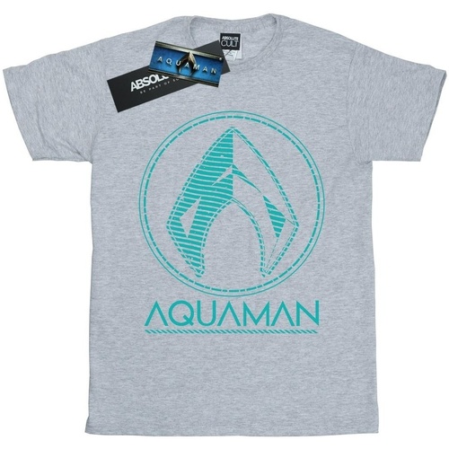 Abbigliamento Bambina T-shirts a maniche lunghe Dc Comics Aquaman Aqua Logo Grigio