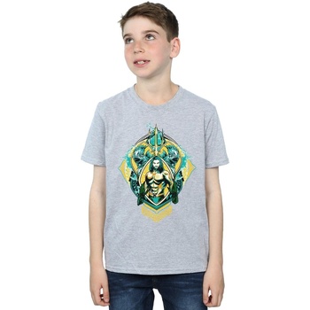 Abbigliamento Bambino T-shirt maniche corte Dc Comics Aquaman The Trench Crest Grigio