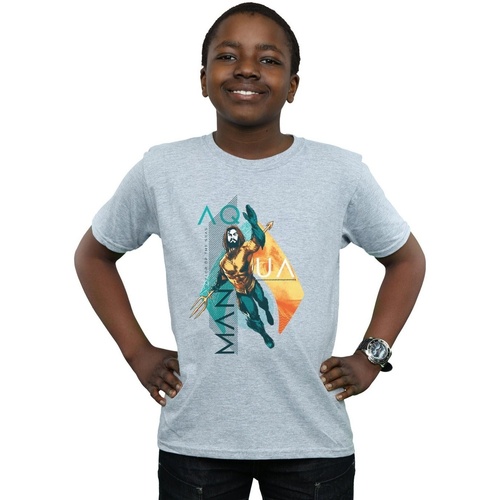 Abbigliamento Bambino T-shirt maniche corte Dc Comics Aquaman Tropical Icon Grigio