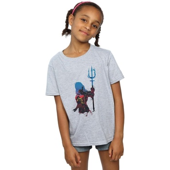 Abbigliamento Bambina T-shirts a maniche lunghe Dc Comics Aquaman Battle Silhouette Grigio