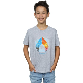 Abbigliamento Bambino T-shirt maniche corte Dc Comics Aquaman Tropical Logo Grigio