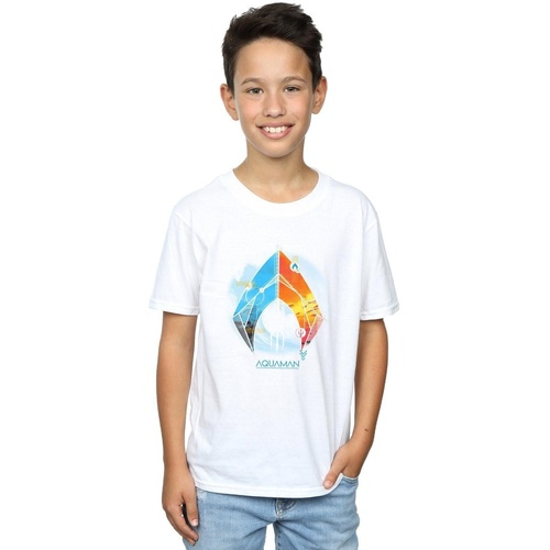 Abbigliamento Bambino T-shirt maniche corte Dc Comics Aquaman Tropical Logo Bianco