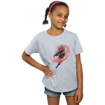 Abbigliamento Bambina T-shirts a maniche lunghe Dc Comics Aquaman Black Manta Flash Grigio