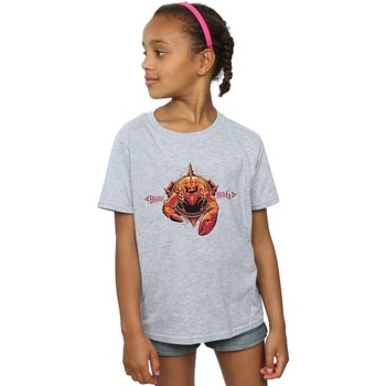 Abbigliamento Bambina T-shirts a maniche lunghe Dc Comics Aquaman Brine King Grigio