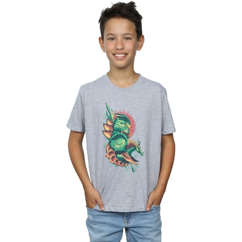 Abbigliamento Bambino T-shirt maniche corte Dc Comics Aquaman Xebel Crest Grigio