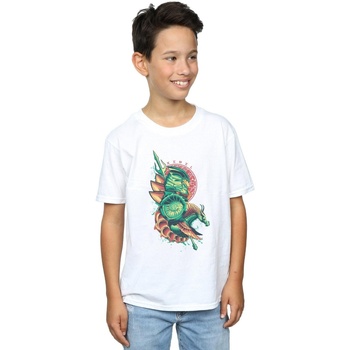 Abbigliamento Bambino T-shirt maniche corte Dc Comics Aquaman Xebel Crest Bianco