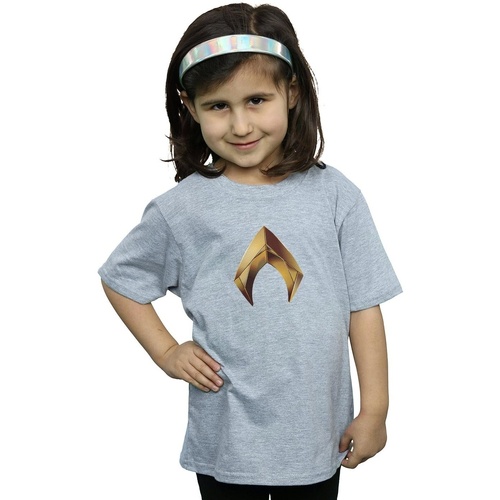 Abbigliamento Bambina T-shirts a maniche lunghe Dc Comics Aquaman Emblem Grigio