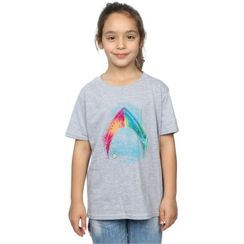 Abbigliamento Bambina T-shirts a maniche lunghe Dc Comics Aquaman Mera Logo Grigio
