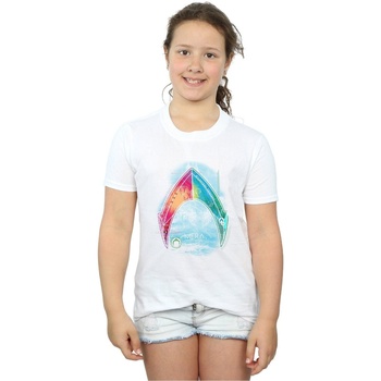 Abbigliamento Bambina T-shirts a maniche lunghe Dc Comics Aquaman Mera Logo Bianco