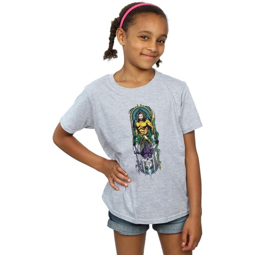 Abbigliamento Bambina T-shirts a maniche lunghe Dc Comics Aquaman Ocean Master Grigio