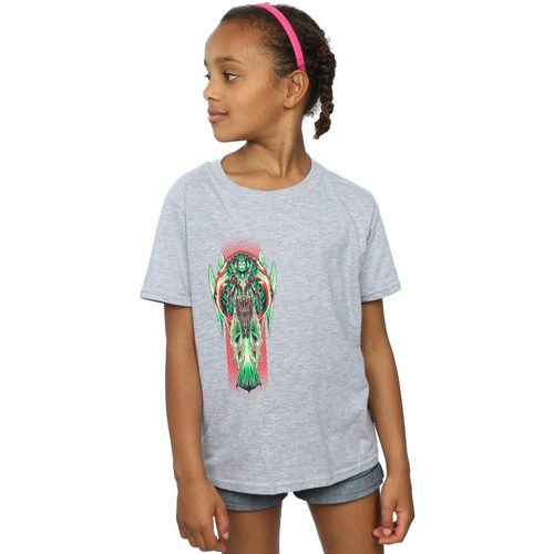 Abbigliamento Bambina T-shirts a maniche lunghe Dc Comics Aquaman Queen Atlanna Grigio