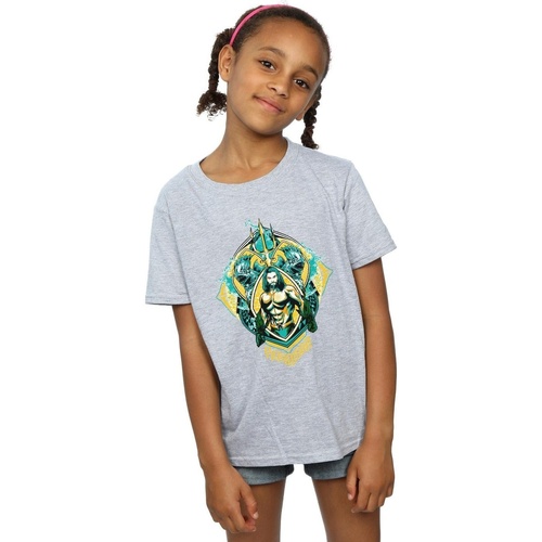 Abbigliamento Bambina T-shirts a maniche lunghe Dc Comics BI7280 Grigio