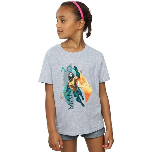 Abbigliamento Bambina T-shirts a maniche lunghe Dc Comics Aquaman Tropical Icon Grigio