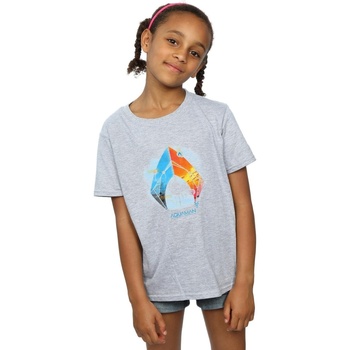 Abbigliamento Bambina T-shirts a maniche lunghe Dc Comics Aquaman Tropical Logo Grigio