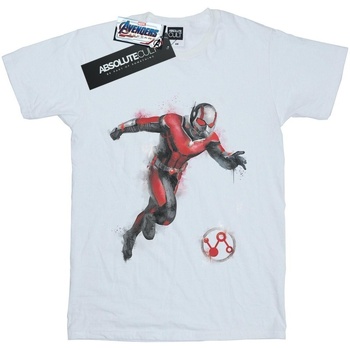 Abbigliamento Donna T-shirts a maniche lunghe Marvel Avengers Endgame Painted Ant-Man Bianco