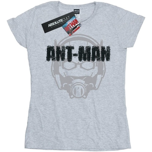 Abbigliamento Donna T-shirts a maniche lunghe Marvel Ant-Man Helmet Fade Grigio