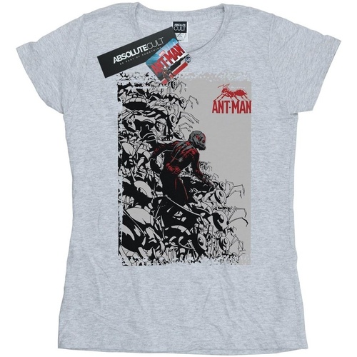 Abbigliamento Donna T-shirts a maniche lunghe Marvel Ant-Man Army Grigio
