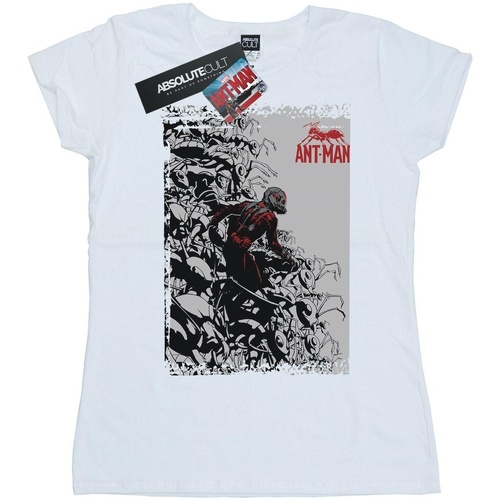 Abbigliamento Donna T-shirts a maniche lunghe Marvel Ant-Man Army Bianco