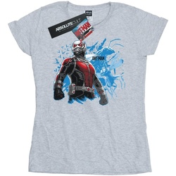 Abbigliamento Donna T-shirts a maniche lunghe Marvel Ant-Man Standing Grigio