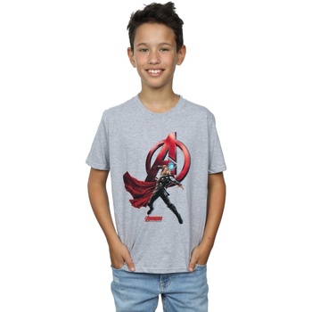 Abbigliamento Bambino T-shirt maniche corte Marvel Thor Pose Grigio