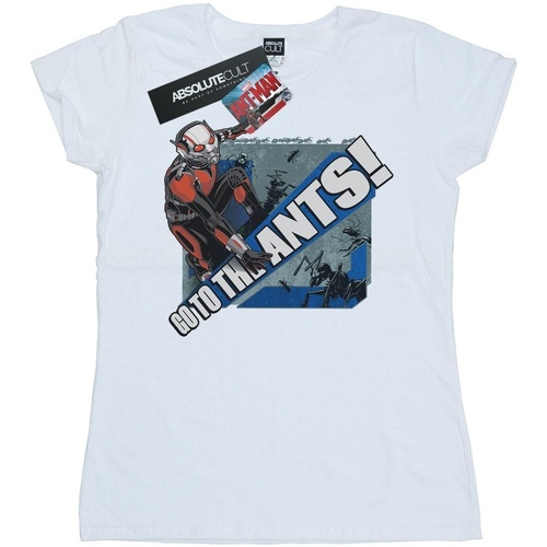 Abbigliamento Donna T-shirts a maniche lunghe Marvel Ant-Man Go To The Ants Bianco