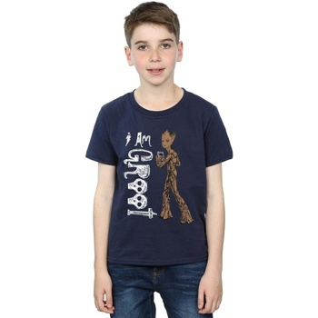 Abbigliamento Bambino T-shirt & Polo Marvel Avengers Infinity War I Am Teenage Groot Blu