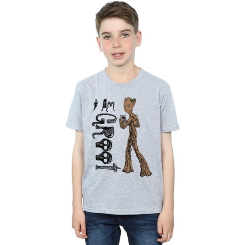 Abbigliamento Bambino T-shirt maniche corte Marvel Avengers Infinity War I Am Teenage Groot Grigio