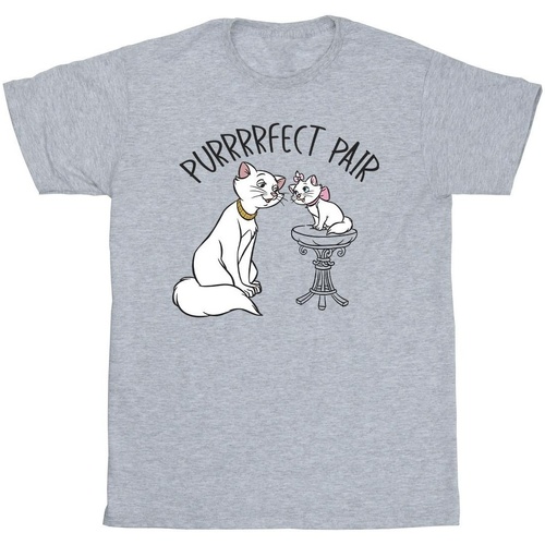 Abbigliamento Bambina T-shirts a maniche lunghe Disney The Aristocats Purrfect Pair Grigio