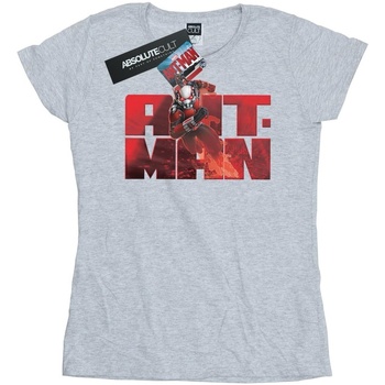 Abbigliamento Donna T-shirts a maniche lunghe Marvel Ant-Man Running Grigio