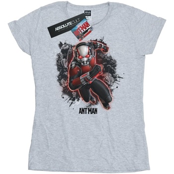 Abbigliamento Donna T-shirts a maniche lunghe Marvel Ant-Man Ants Running Grigio