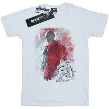 Abbigliamento Uomo T-shirts a maniche lunghe Marvel Avengers Endgame Nebula Brushed Bianco