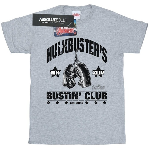 Abbigliamento Bambina T-shirts a maniche lunghe Marvel Iron Man Hulkbuster's Bustin' Club Grigio