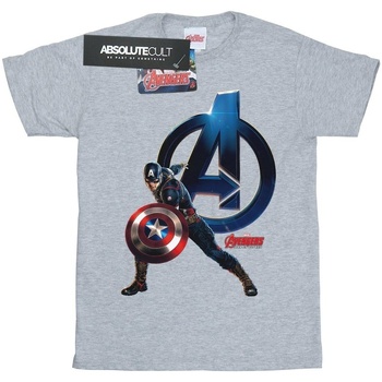 Abbigliamento Bambina T-shirts a maniche lunghe Marvel Captain America Pose Grigio