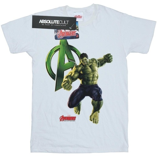 Abbigliamento Bambina T-shirts a maniche lunghe Marvel Hulk Pose Bianco