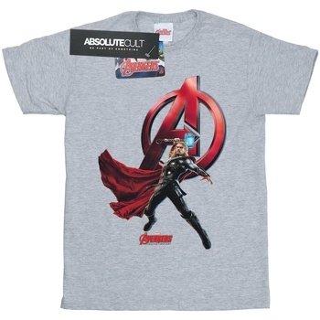 Abbigliamento Bambina T-shirts a maniche lunghe Marvel Thor Pose Grigio