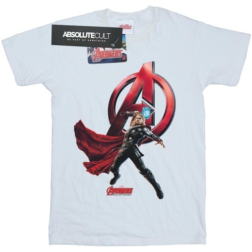 Abbigliamento Bambina T-shirts a maniche lunghe Marvel Thor Pose Bianco