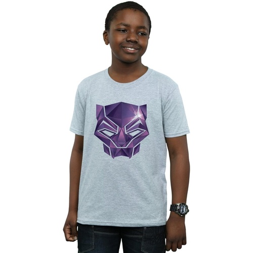 Abbigliamento Bambino T-shirt maniche corte Marvel Avengers Infinity War Black Panther Geometric Grigio
